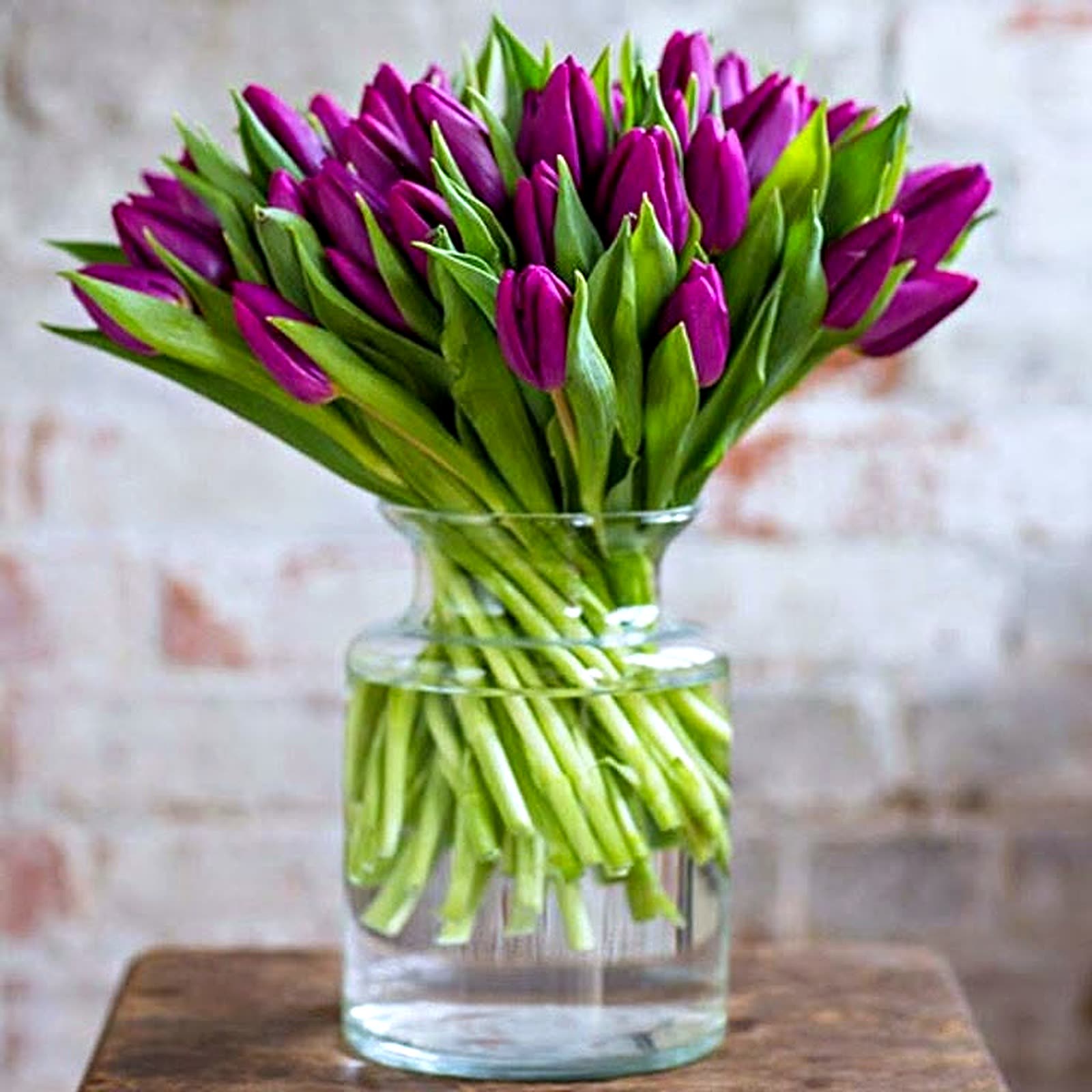 Purple tulips in clear glass
